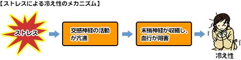 自律神経と冷え性