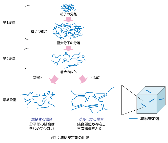 なぜ”かたまる”の？なぜ”どろどろする”の？