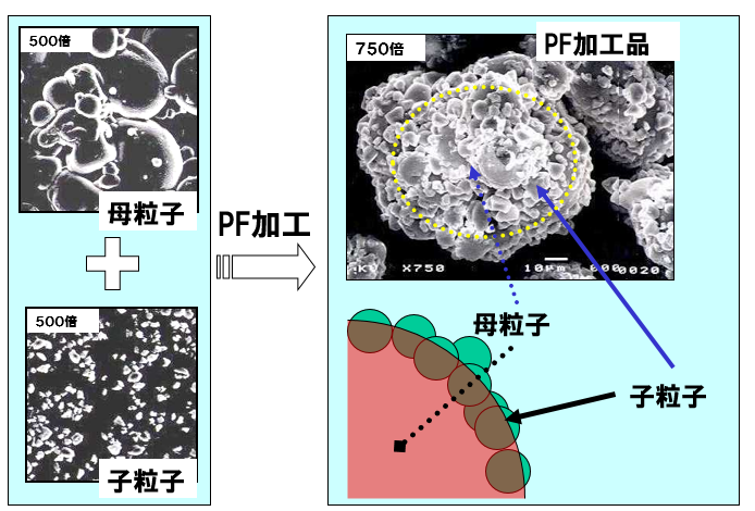 ＰＦ加工とは