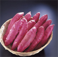 九州の美味しい“さつまいも”。~畑から食卓まで~