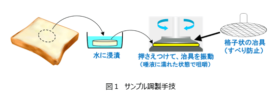 動的粘弾性測定装置による分析