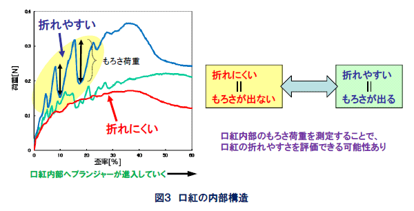 ＜物性データから内部構造を見る＞