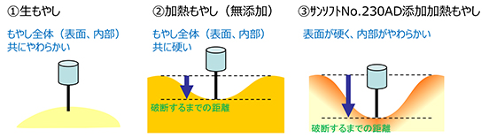 図３　プランジャーの進入時のもやし表面の様子