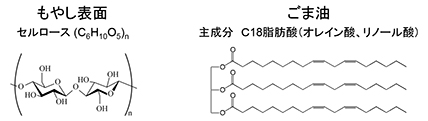 図６　もやし表面とごま油の主成分元素構成