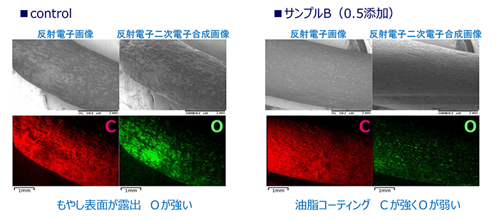 図７　もやしのSEM-EDX画像