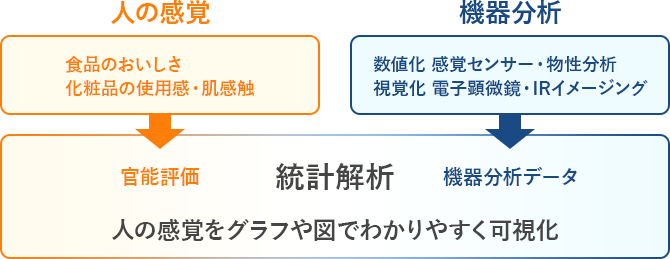 感性と科学の両面からのアプローチ