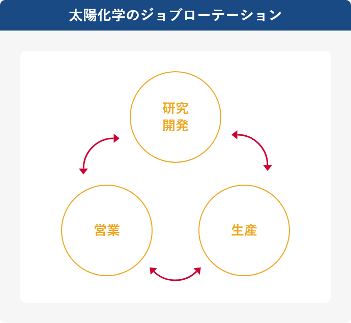 太陽化学のジョブローテーション